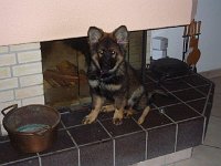 Ki-Shani